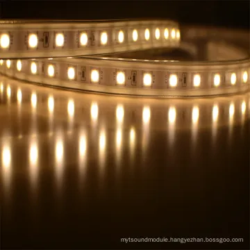 Super Bright AC120V 240V Flexible LED Strip Tape